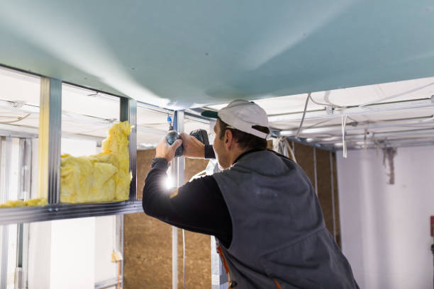 Best Spray Foam Insulation in Waawa, HI