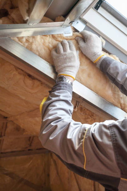 Professional Insulation Contractor in Wahiawa, HI