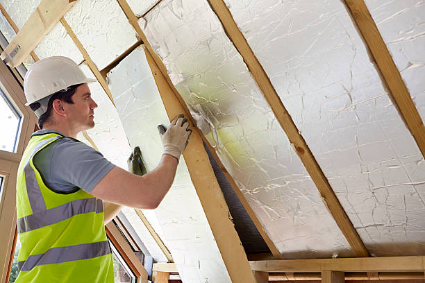 Types of Insulation We Offer in Wahiawa, HI